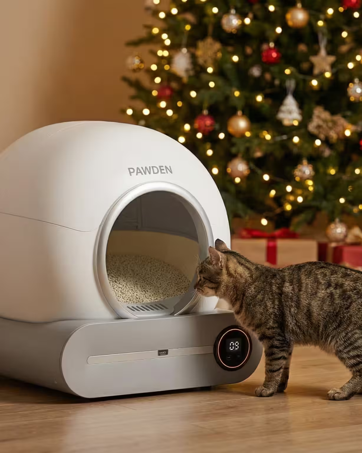 Pawden : L'Expert de la Litière Automatique et des Accessoires pour Chat